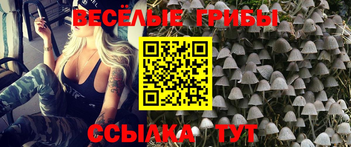 Шатура  Псилоцибиновые грибы прущие грибы  Вход с VPN 